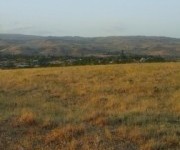 Գյուղ. հող, Արագածոտն, Աշտարակ, Կոշ - 6