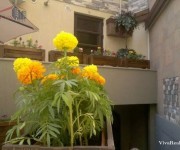 Apartment, 8 rooms, Yerevan, Downtown