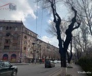 Ունիվերսալ, Երևան, Կենտրոն