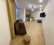 Apartment, 2 rooms, Yerevan, Ajapnyak - 3